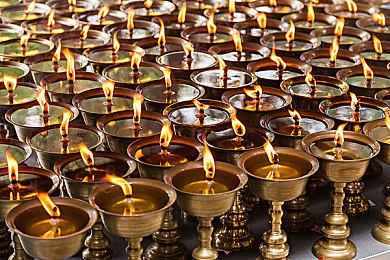 《方舟生存进化》“夏日海洋”DLC内容预告，启用官服支持、全新深海内容首曝